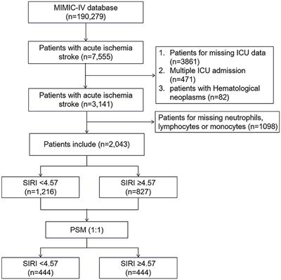 Systemic inflammation response index as a prognostic predictor in patients with acute ischemic stroke: A propensity score matching analysis